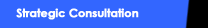 Strategic Consultation